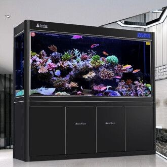 水族生態(tài)環(huán)境魚(yú)缸品牌排行榜：2024高端魚(yú)缸品牌排行榜：森森始創(chuàng)于1985年高端魚(yú)缸