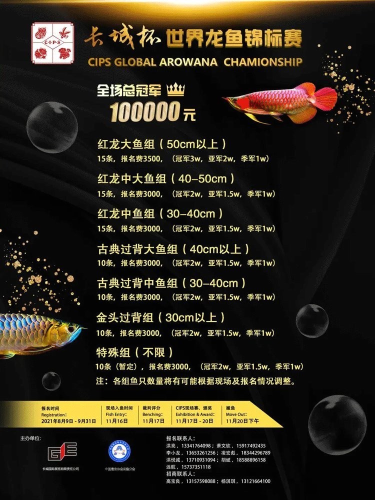 長城杯觀賞魚比賽2021年 2025長城杯龍魚大賽 第1張 長城杯觀賞魚比賽2021年 長城杯觀賞魚比賽2021年 2025長城杯龍魚大賽 第1張