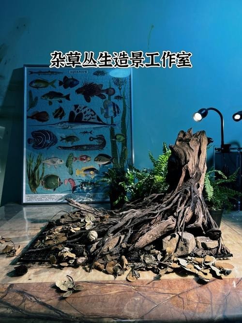 雷龍魚缸布景圖片