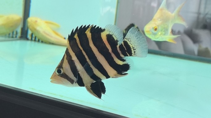 記錄小?；? title=