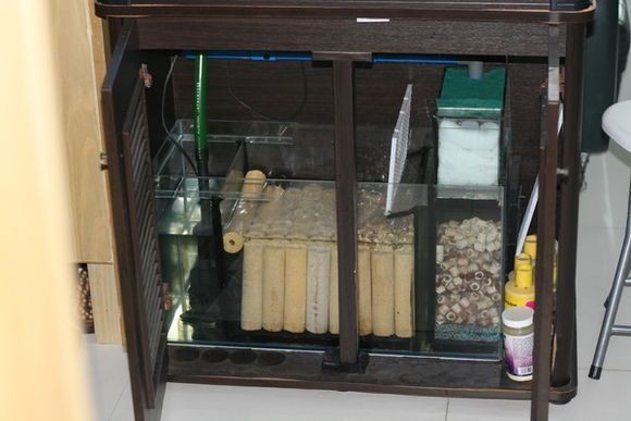 底濾魚缸底濾魚缸細(xì)菌屋使用方法是什么魚缸細(xì)菌屋使用竅門：如何正確使用底濾魚缸中的細(xì)菌屋
