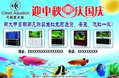 可麗愛(ài)魚(yú)缸怎么安裝視頻(可麗愛(ài)魚(yú)缸安裝步驟) 魚(yú)缸百科 第2張 可麗愛(ài)魚(yú)缸怎么安裝視頻(可麗愛(ài)魚(yú)缸安裝步驟) 可麗愛(ài)魚(yú)缸怎么安裝視頻(可麗愛(ài)魚(yú)缸安裝步驟) 魚(yú)缸百科 第2張