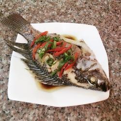 福壽魚的功效與作用和營養價值