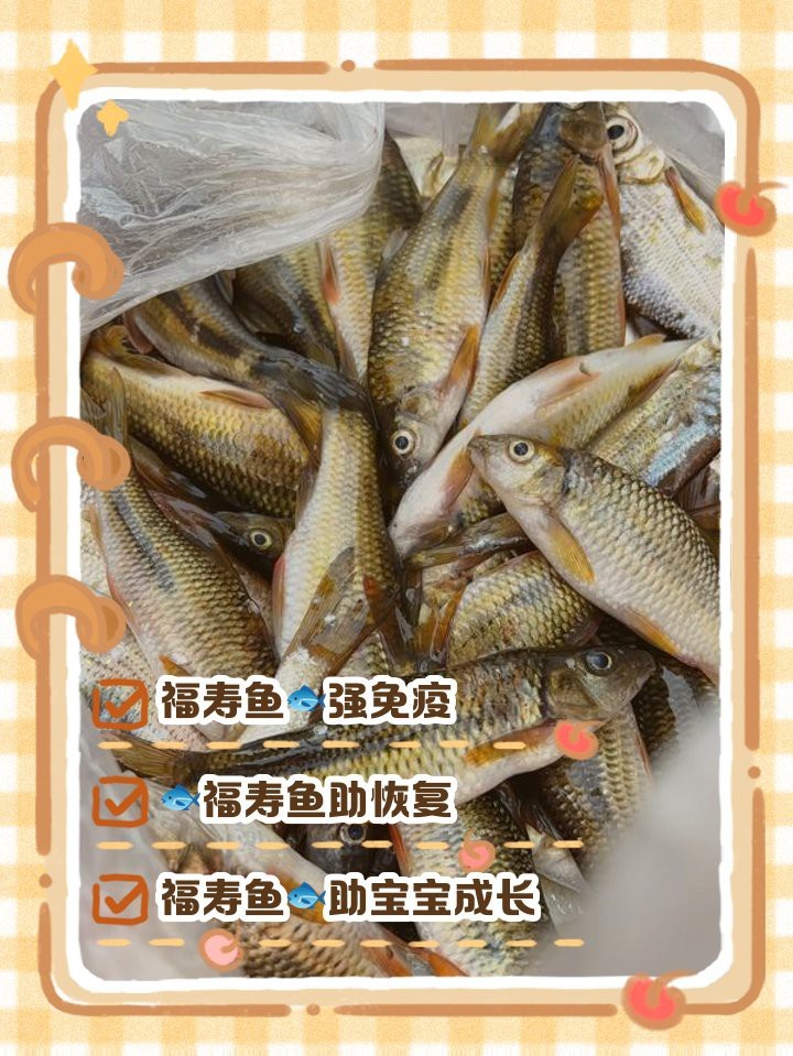 福壽魚的功效與作用和營養價值
