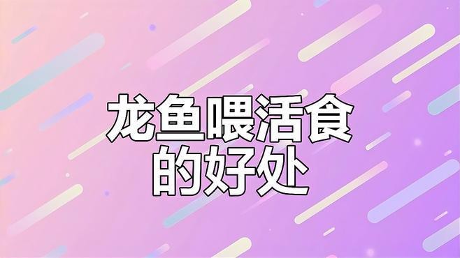 龍魚喂什么活食最好？