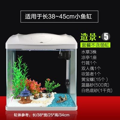 森森水族箱魚缸價格：森森水族箱適合養哪些魚類