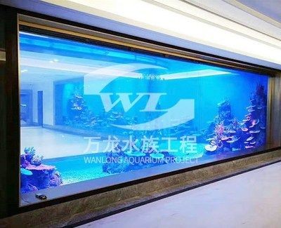 龍魚缸視頻欣賞教程全集：龍魚缸制作視頻教程全集 龍魚缸視頻欣賞教程全集：龍魚缸制作視頻教程全集 魚缸百科 第5張