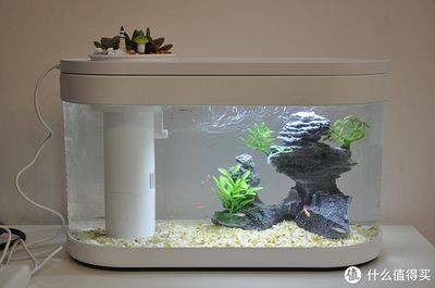 魚缸造景的基礎(chǔ)知識(shí)：畫法幾何魚缸造景之前，我們可以了解一些關(guān)于魚缸造景的基本知識(shí) 魚缸造景的基礎(chǔ)知識(shí)：畫法幾何魚缸造景之前，我們可以了解一些關(guān)于魚缸造景的基本知識(shí) 魚缸百科 第2張