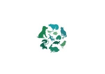 如何聯(lián)系國際寵物展的主辦方？