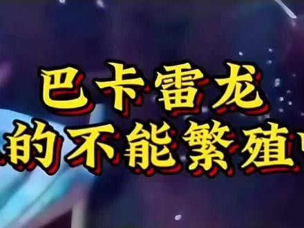 雷龍魚比賽有哪些歷史記錄 2025長城杯龍魚大賽 第3張 雷龍魚比賽有哪些歷史記錄 雷龍魚比賽有哪些歷史記錄 2025長城杯龍魚大賽 第3張