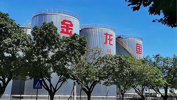 金龍魚什么時間上市