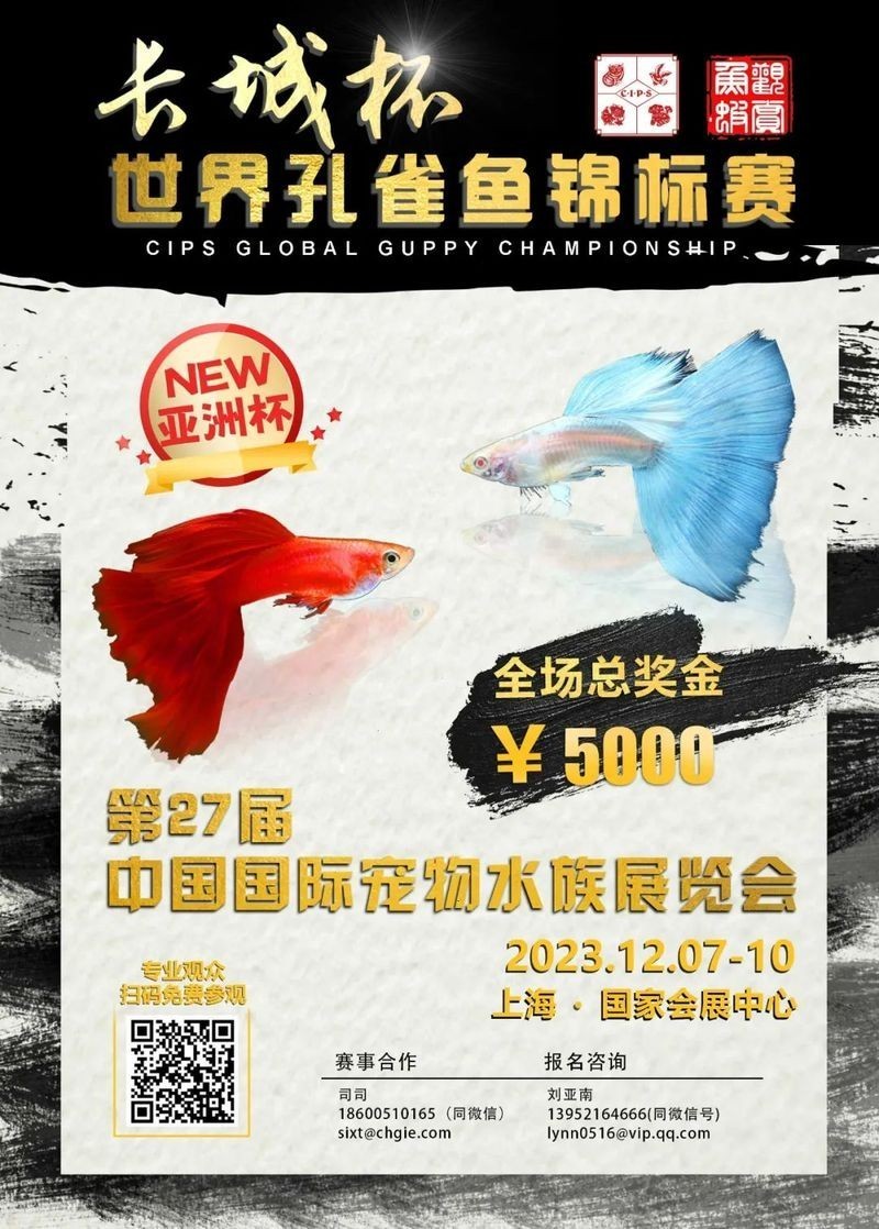 長城杯世界孔雀魚錦標賽如何