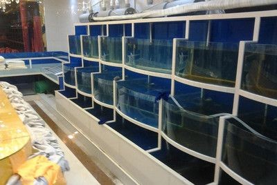湖北魚缸廠的技術革新湖北魚缸生產廠家的技術革新：湖北魚缸廠哪家好