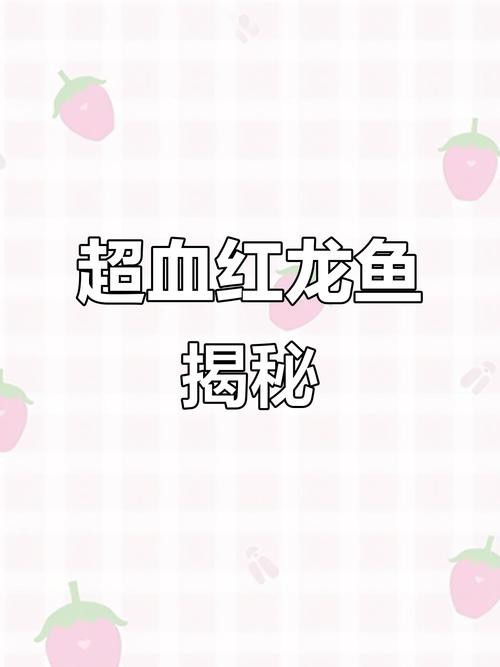 最漂亮的紅龍魚圖片大全視頻