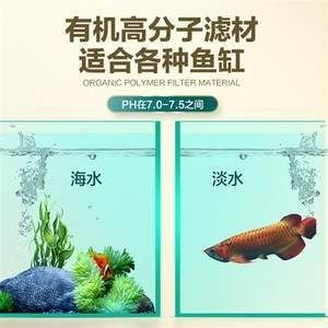 魚缸過濾材料的選擇指南，：魚缸水質管理的全面指南