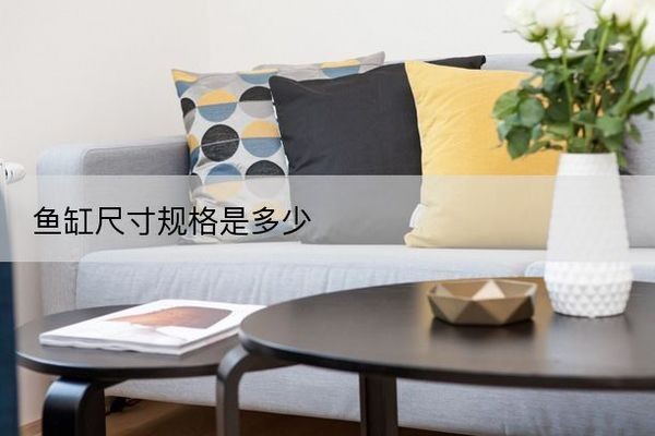 魚缸價格及圖片尺寸 龍魚百科 第1張 魚缸價格及圖片尺寸 魚缸價格及圖片尺寸 龍魚百科 第1張