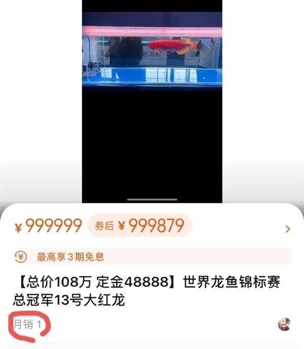 紅龍比賽冠軍魚“老九”的主人是誰？