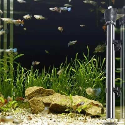 觀賞魚缸換水直接用自來水可以嗎視頻（養魚水質管理是養魚成功的關鍵之一）