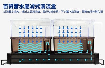 魚缸過(guò)濾原理解析魚缸過(guò)濾原理解析魚缸過(guò)濾原理解析：如何判斷魚缸過(guò)濾效果？