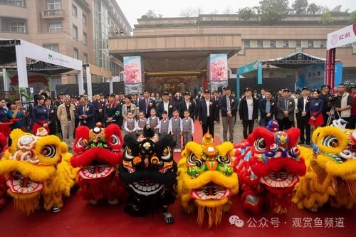有哪些知名的觀賞魚賽事？ 有哪些知名的觀賞魚賽事？ 2025長城杯龍魚大賽 第7張