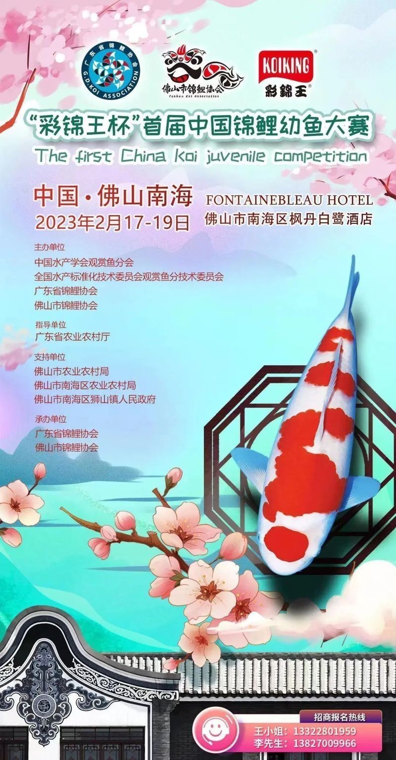 有哪些知名的觀賞魚賽事？ 有哪些知名的觀賞魚賽事？ 2025長城杯龍魚大賽 第8張