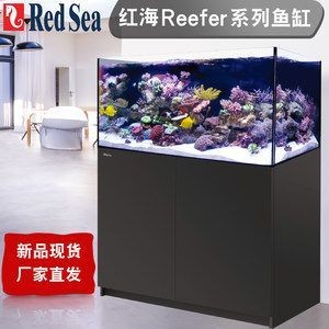 廣州市荔灣區麗珍水族店