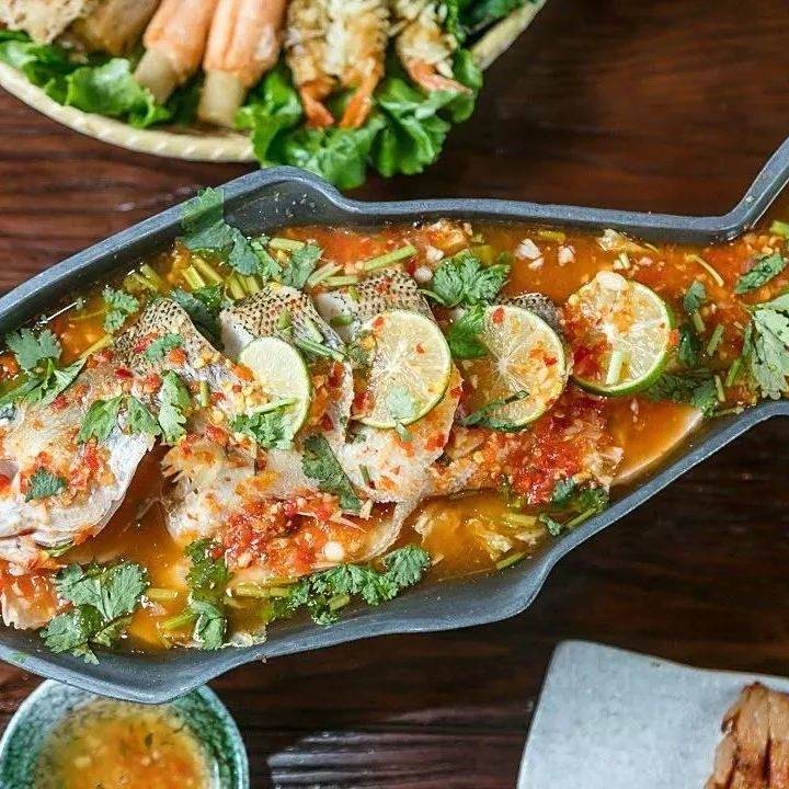 檸檬鯽魚和泰國鯽魚哪個好