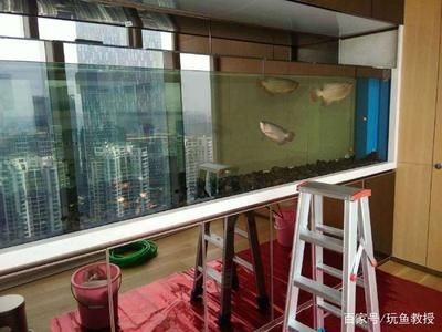 房間魚缸放什么位置好（風(fēng)水學(xué)中的魚缸擺放位置的建議：魚缸不宜擺放在風(fēng)水上）