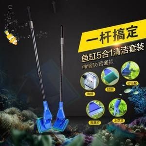 龍魚缸用什么工具魚好看一點：龍魚缸適合養哪些小型工具魚