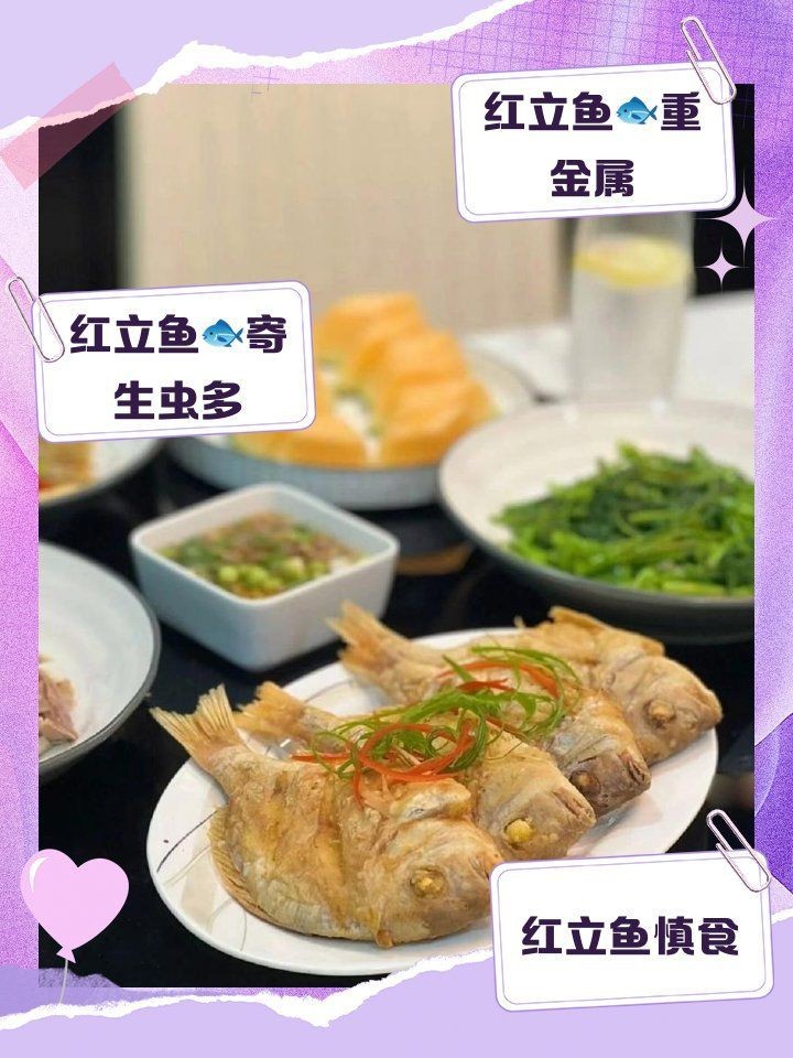 紅老虎魚為何要少吃 紅老虎魚為何要少吃 龍魚論壇 第11張