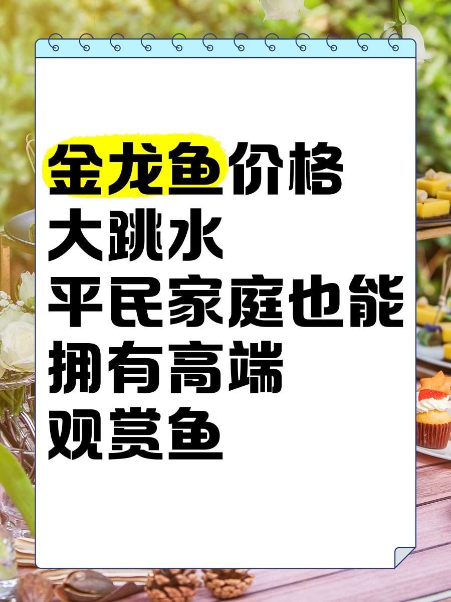 廣州龍魚市場的價格如何？ 廣州龍魚市場的價格如何？ 2025長城杯龍魚大賽 第16張