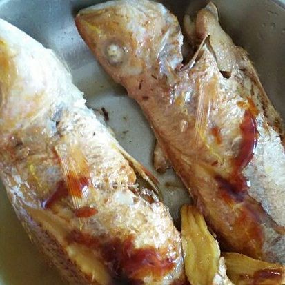 紅勾銀板魚最簡單三個(gè)步驟 紅勾銀板魚最簡單三個(gè)步驟 龍魚論壇 第5張