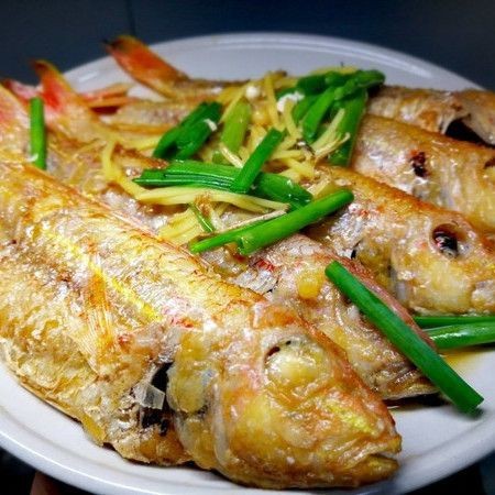 紅勾銀板魚最簡單三個(gè)步驟 紅勾銀板魚最簡單三個(gè)步驟 龍魚論壇 第15張
