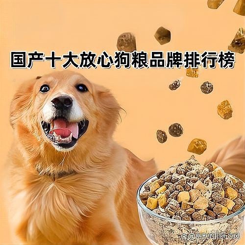 十大國產良心狗糧排名