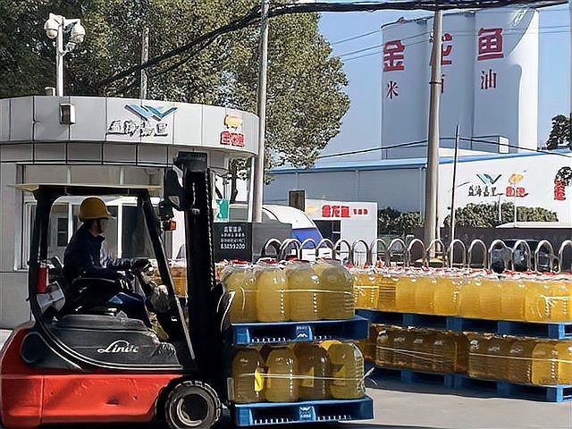 金龍魚武漢生產(chǎn)基地在哪里 金龍魚武漢生產(chǎn)基地在哪里 龍魚百科 第1張