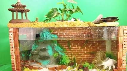 如何用紅磚制作魚缸：農村小伙用紅磚和水泥砌了個簡易魚缸，展現了農村生活的別樣風情 如何用紅磚制作魚缸：農村小伙用紅磚和水泥砌了個簡易魚缸，展現了農村生活的別樣風情 魚缸百科 第1張