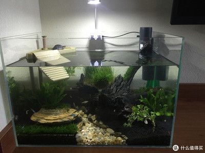 底濾魚缸的優化策略：底濾魚缸改造藝術魚缸改造的優化策略底濾魚缸改造步驟和注意事項