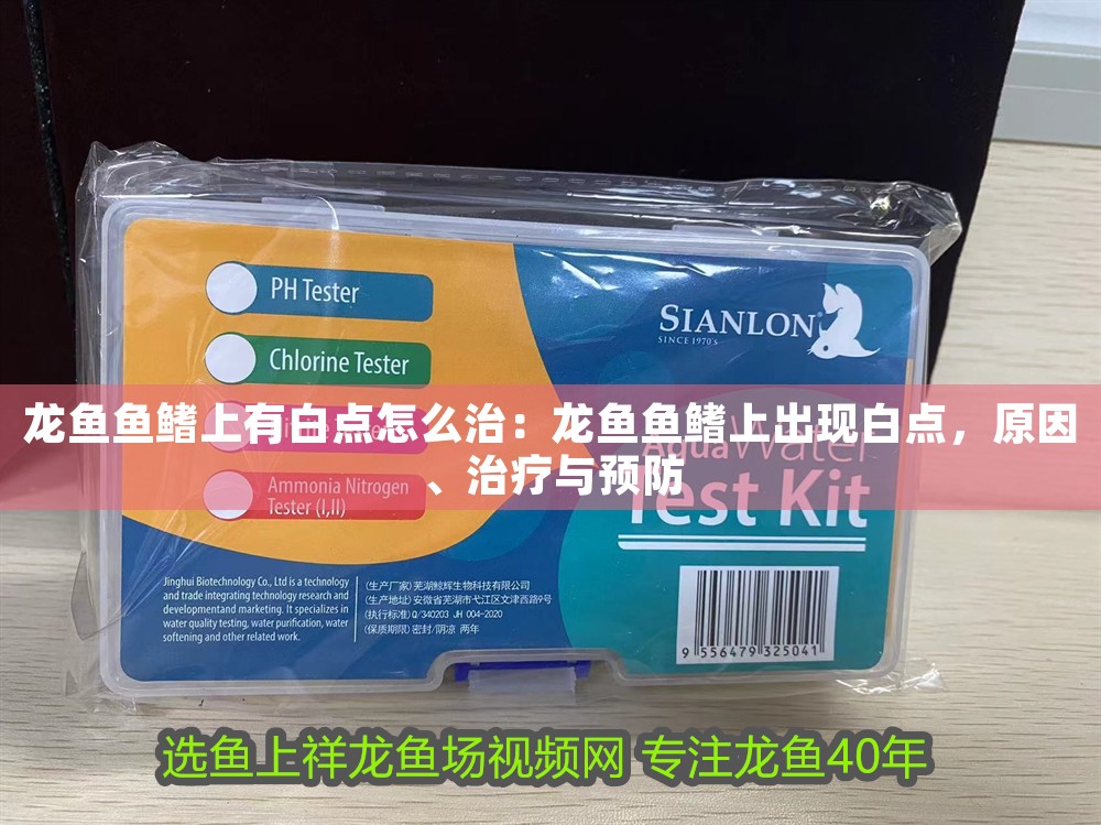 龍魚魚鰭上有白點怎么治：龍魚魚鰭上出現白點，原因、治療與預防