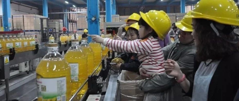 金龍魚有藍色的嗎（如何辨別金龍魚品種，金龍魚市場價格趨勢）