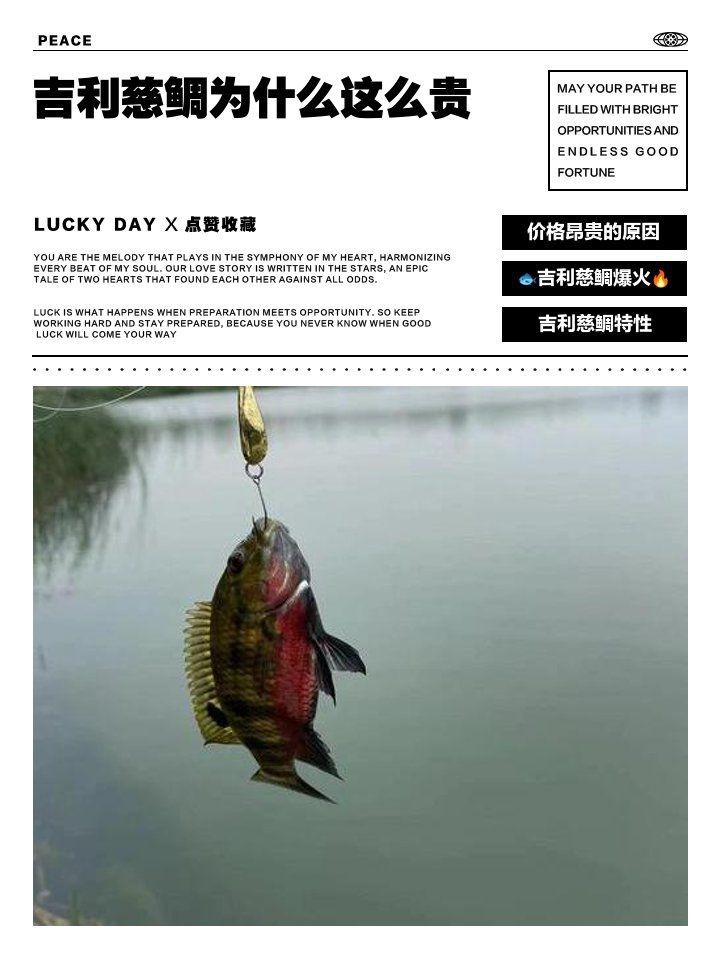 紅龍王慈鯛多少錢一只 龍魚論壇 第2張 紅龍王慈鯛多少錢一只 紅龍王慈鯛多少錢一只 龍魚論壇 第2張