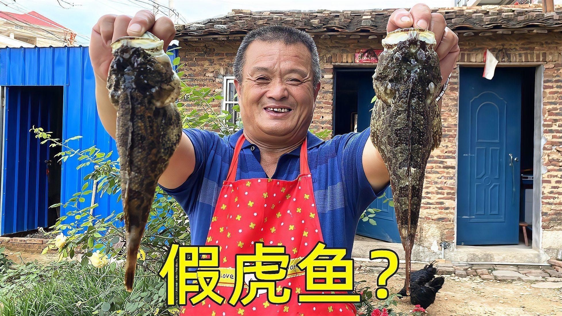 虎魚如何區分好壞