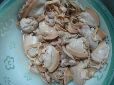 河蚌被認為是生物凈水中的重要一環，對魚缸的益處和風險：河蚌對魚缸的益處與風險