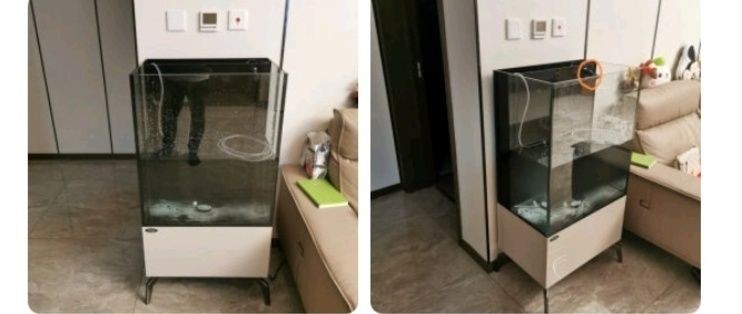 方魚缸好嗎:方形魚缸適合養(yǎng)哪些魚 魚缸百科 第4張 方魚缸好嗎:方形魚缸適合養(yǎng)哪些魚 方魚缸好嗎:方形魚缸適合養(yǎng)哪些魚 魚缸百科 第4張