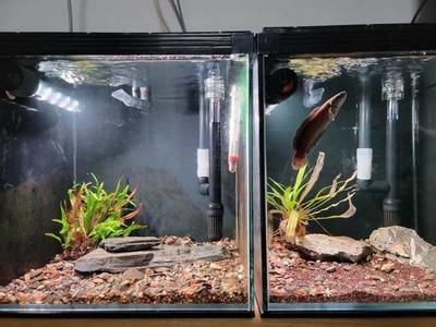 好魚缸有那些品牌（好魚缸有那些品牌好魚缸有那些品牌）