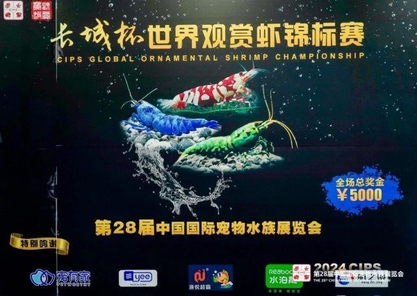 長城杯觀賞蝦錦標賽有哪些歷屆冠軍？