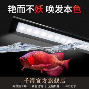 龍魚增艷燈和發(fā)色燈的區(qū)別：龍魚增艷燈和發(fā)色燈光的區(qū)別