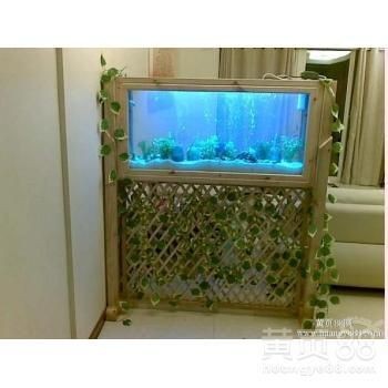 廣州魚缸配件選擇：廣州哪里有魚缸配件