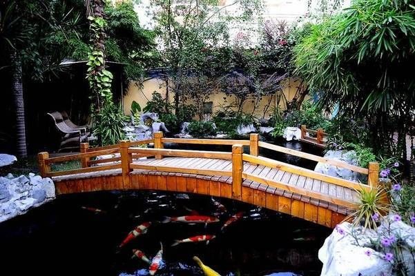 魚缸可以只加水不換水嗎:魚缸只加水不換水的方法是可行的,但需要滿足一定條件 魚缸百科 第1張 魚缸可以只加水不換水嗎:魚缸只加水不換水的方法是可行的,但需要滿足一定條件 魚缸可以只加水不換水嗎:魚缸只加水不換水的方法是可行的,但需要滿足一定條件 魚缸百科 第1張