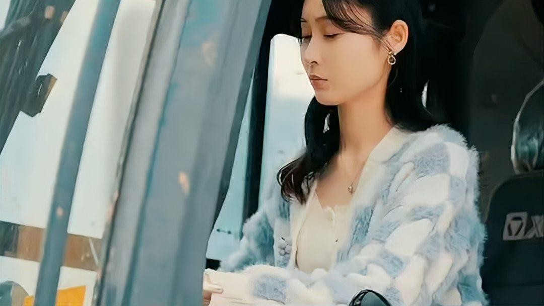 龍貓和貓哪個更適合新手？