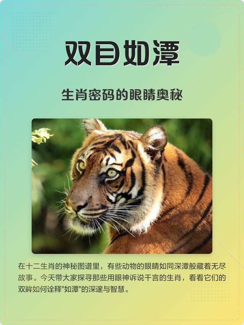 龍的眼睛是紅色的好不好